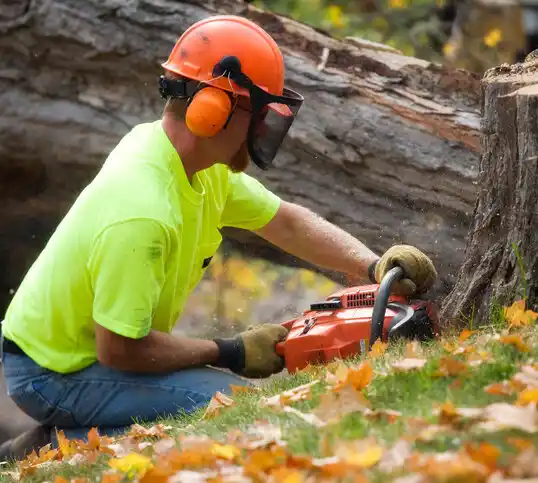 tree services Gratis